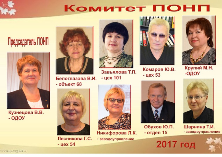 комитет понп 2017